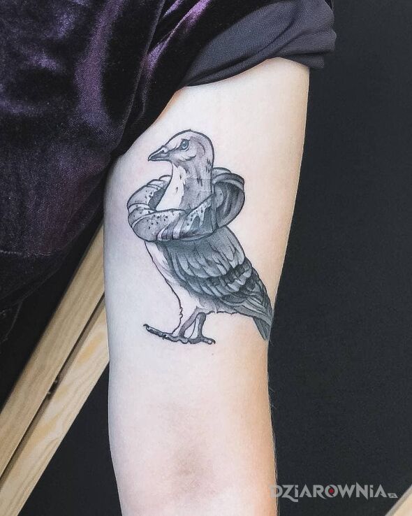 Tatuaż pigeon w motywie zwierzęta i stylu blackwork / blackout na ramieniu