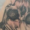 Pielęgnacja tatuażu - Miejscami dziwny naskórek