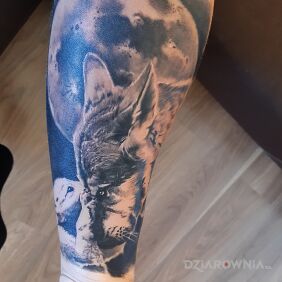 Tatuaż Pokora na ręce motyw: zwierzęta styl: realistyczne