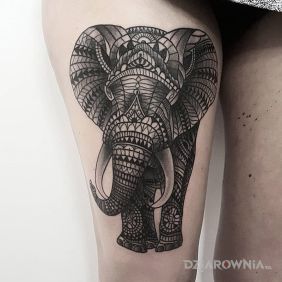 Tatuaż Słoń z ornamentów na nodze motyw: zwierzęta