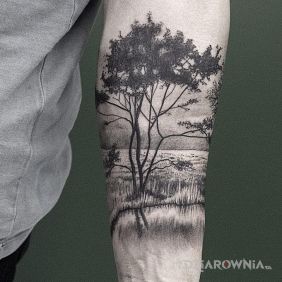 Tatuaż Drzewko na przedramieniu styl: realistyczne