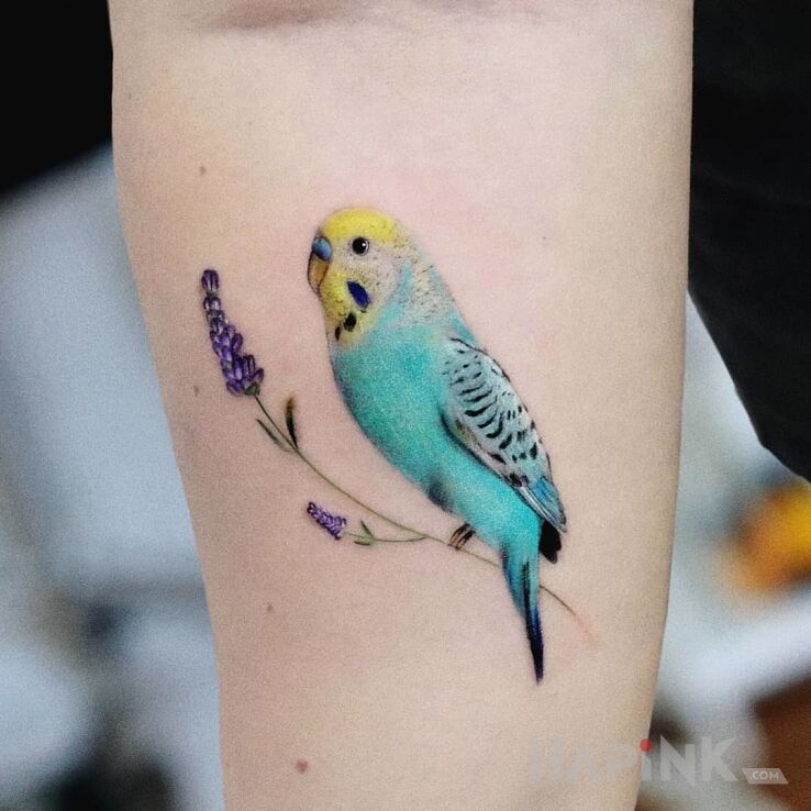 Tattoo Błękitny ptak in animals motif and realistic style on the forearm