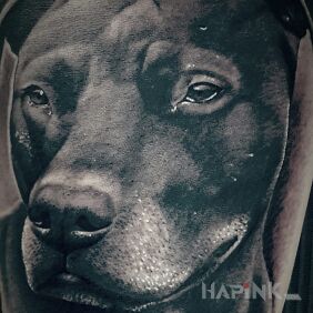 Tattoo Dog on the forearm motif: animals