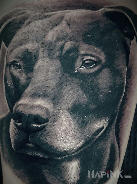 Tattoo Pies in animals motif on the forearm