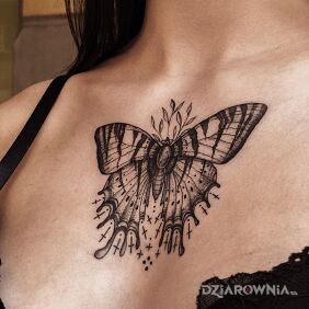Tatuaż Motyl na klatce motyw: czarno-szare styl: graficzne / ilustracyjne