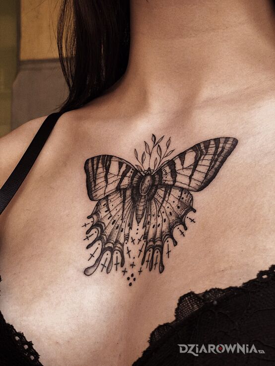 Tatuaż motyl w motywie czarno-szare i stylu graficzne / ilustracyjne na klatce