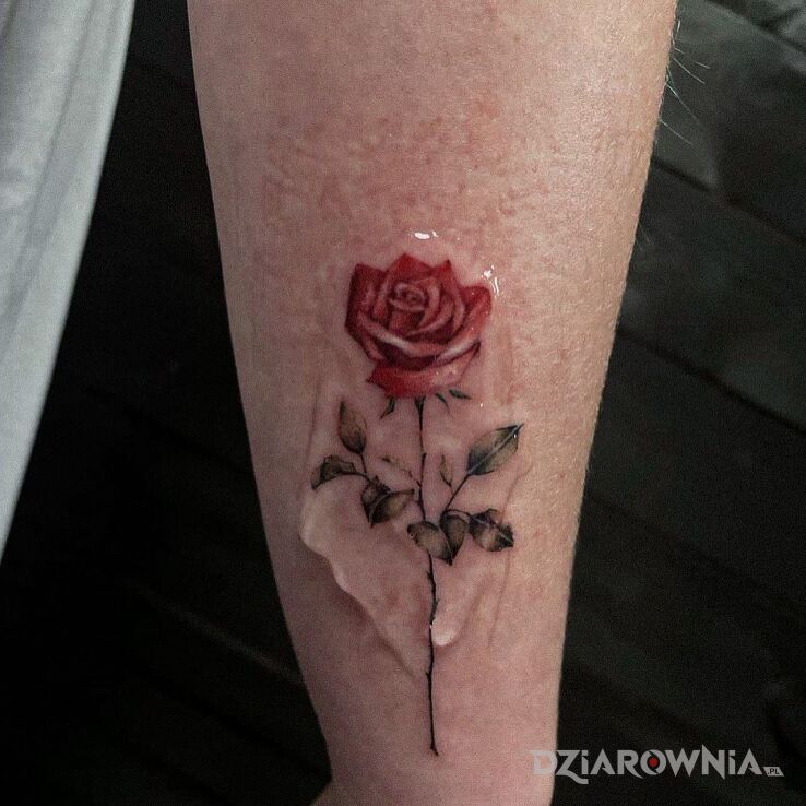 Tatuaż róza w motywie kolorowe i stylu minimalistyczne na przedramieniu