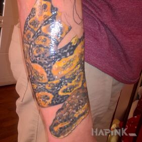 Tattoo Snake in the roses on the forearm motif: animals