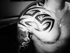 Tatuaż tribal wilk w motywie zwierzęta i stylu tribale na obojczyku