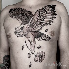 Tattoo Owl / Rose on the stomach motif: black and gray style: realistic