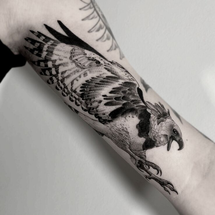 Tatuaż orzeł  ptak w motywie czarno-szare i stylu dotwork na ramieniu