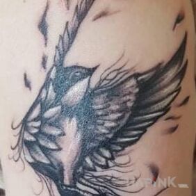 Tattoo Swallow On the arm motif: black and gray style: graphic / illustrative