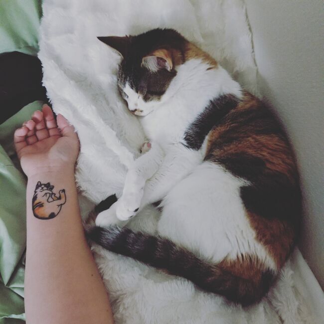tatuaż łaciatego kota na nadgarstku