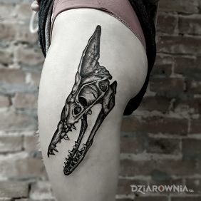 Tatuaż Pterosaurs skull dotwork na nodze motyw: zwierzęta
