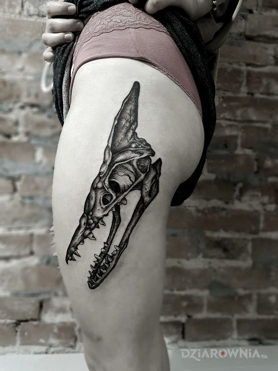 Tatuaż pterosaurs skull dotwork w motywie zwierzęta na nodze