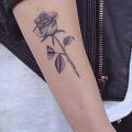 Wycena tatuażu - Wycena tatuażu na przedramieniu, róża.