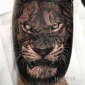Tattoo Annoyed lion on the upper arm motif: animals style: realistic
