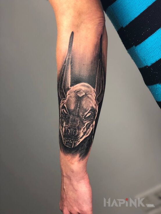 Tattoo Anubis in black and gray motif and realistic style on the forearm