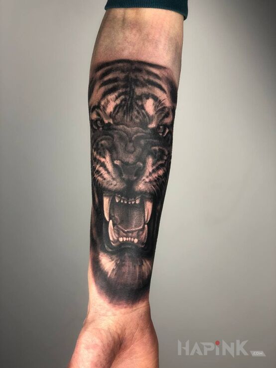 Tattoo The tiger in black and gray motif and realistic style on the forearm