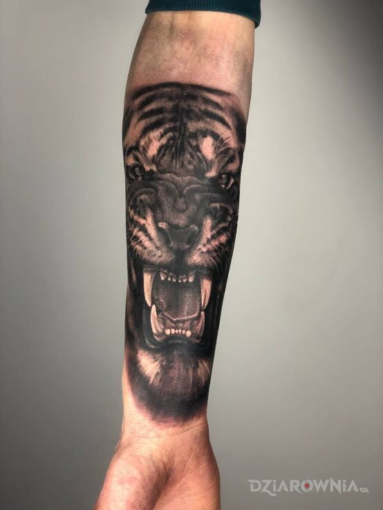 Tatuaż the tiger w motywie pozostałe i stylu realistyczne na przedramieniu