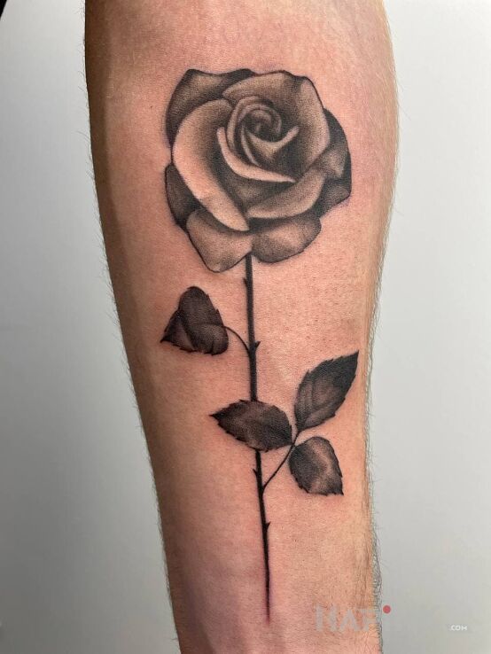 Tattoo Rose in flowers motif and realistic style on the forearm