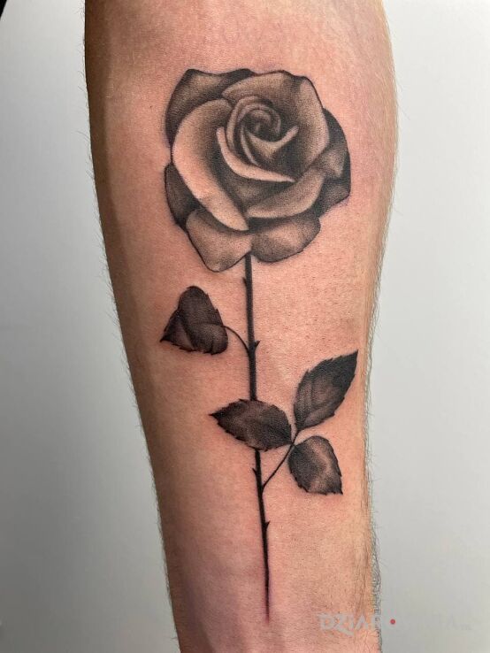 Tatuaż rose w motywie kwiaty i stylu realistyczne na przedramieniu