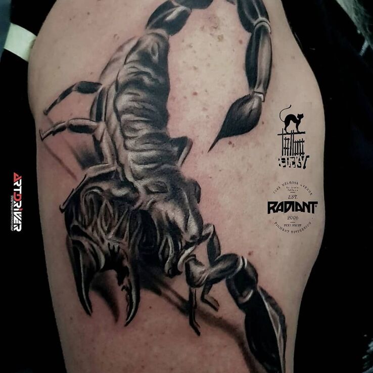 Tatuaż skorpion w motywie zwierzęta i stylu blackwork / blackout na ręce