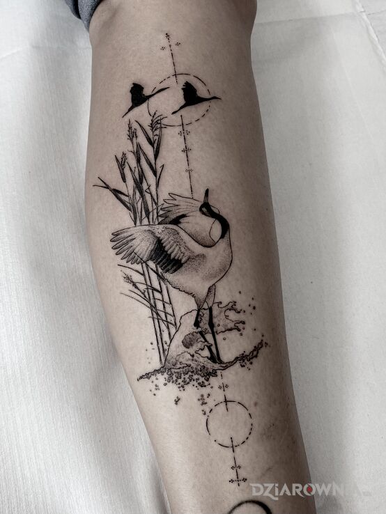 Tatuaż ptaki w motywie zwierzęta i stylu graficzne / ilustracyjne na łydce
