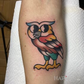 Tattoo Owl on the forearm motif: animals style: oldschool