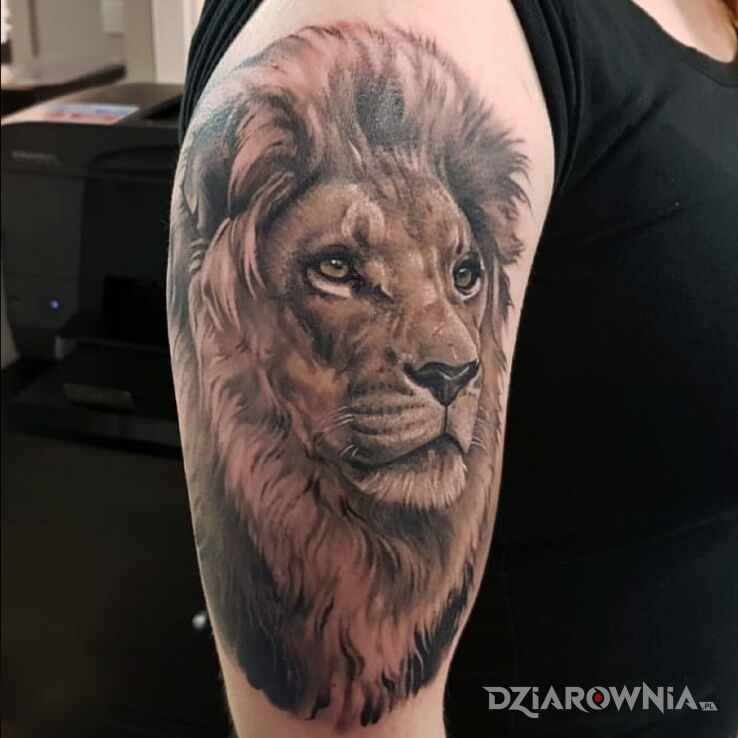 Tatuaż lew w motywie zwierzęta i stylu realistyczne na ręce