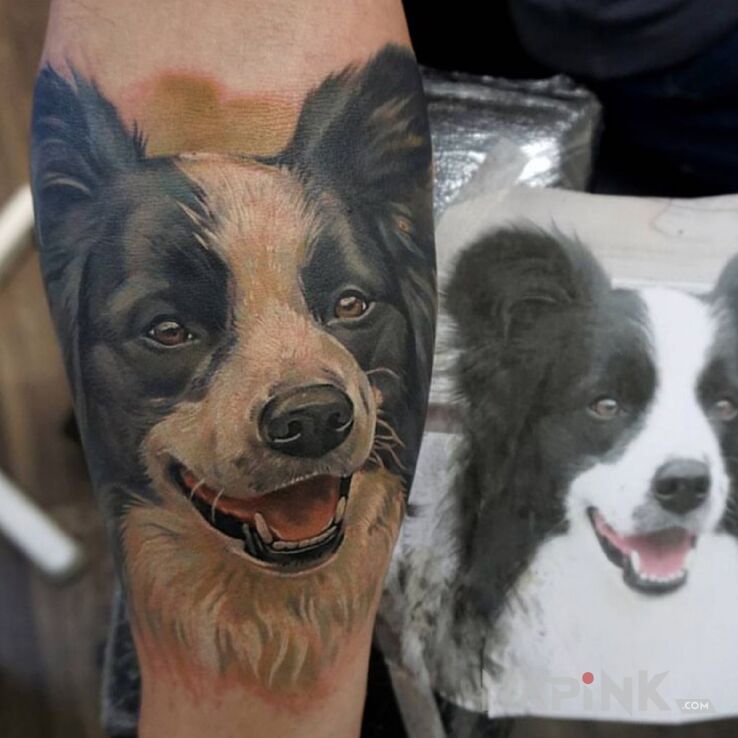 Tattoo Pies / Pupil in animals motif and realistic style on the forearm