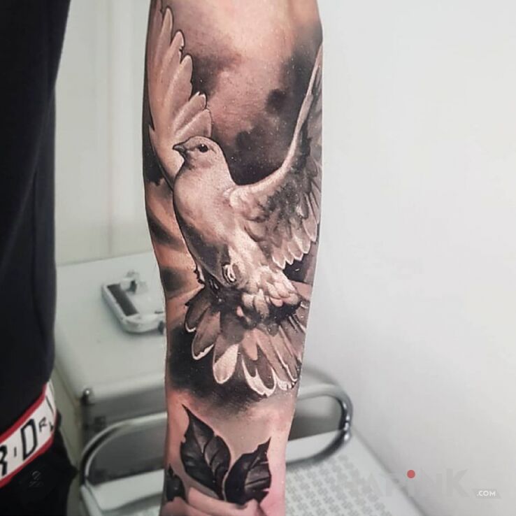 Tattoo Gołąb in black and gray motif and realistic style On the arm