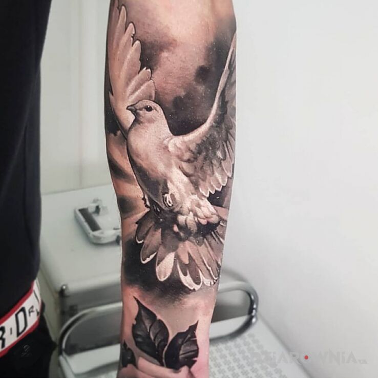 Tatuaż gołąb w motywie zwierzęta i stylu realistyczne na przedramieniu