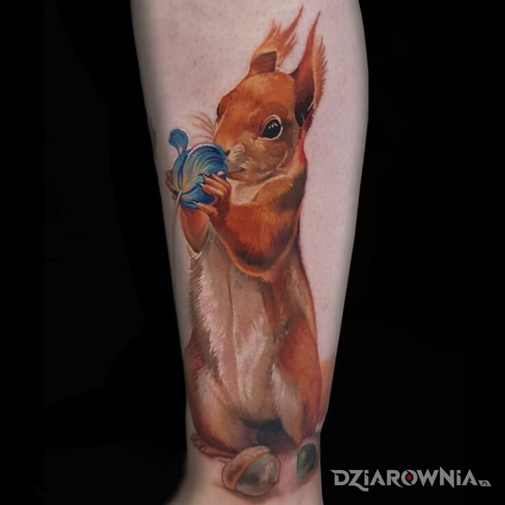 Tatuaż wiewiórka w motywie kolorowe i stylu realistyczne na nodze