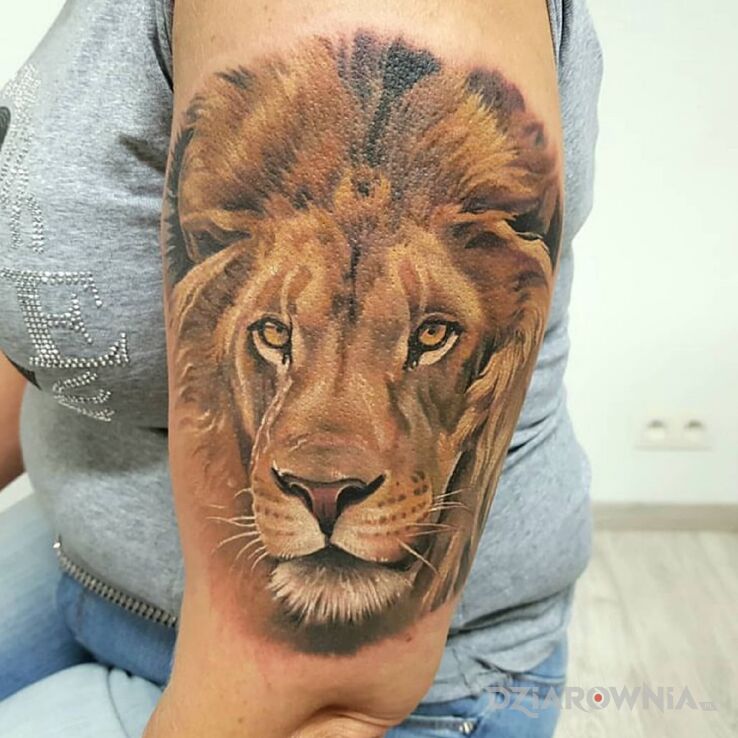 Tatuaż lew w motywie zwierzęta i stylu realistyczne na ramieniu