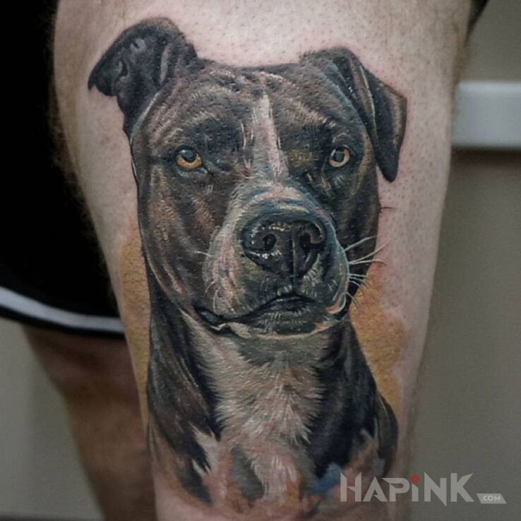 Tattoo Pies in colorful motif and realistic style on the leg