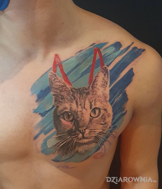 Tatuaż kot z rogami diabełka w motywie kolorowe na klatce