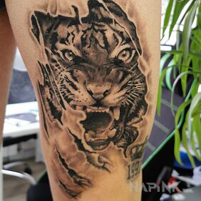 Tattoo Tiger on the leg motif: ripped skin style: realistic