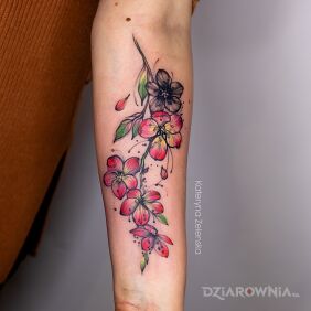 Tatuaż Kwiaty na ręce motyw: kolorowe styl: graficzne / ilustracyjne