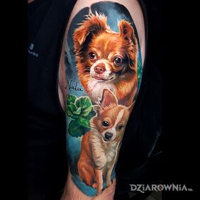 Tatuaż Pies / Psy na ramieniu motyw: 3D styl: realistyczne