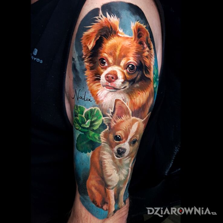 Tatuaż pies  psy w motywie zwierzęta i stylu realistyczne na ramieniu