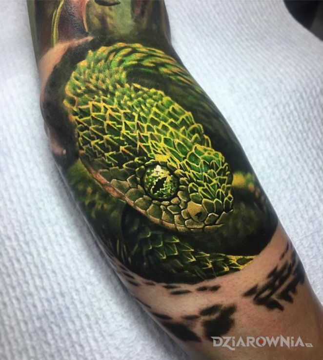 Tatuaż bush viper w motywie 3D i stylu realistyczne na przedramieniu