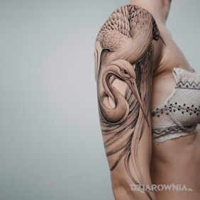 Tatuaż Czapla na ramieniu motyw: zwierzęta styl: realistyczne