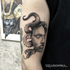 Tatuaż Twarz z wężem na ręce motyw: czarno-szare styl: graficzne / ilustracyjne