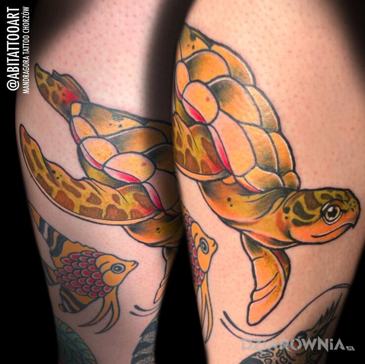 Tatuaż żółw w motywie zwierzęta i stylu neotradycyjne na nodze