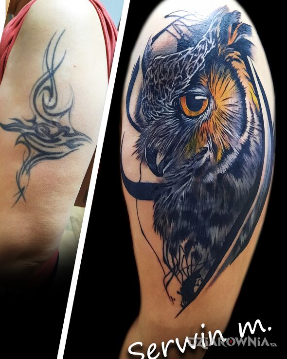 Tatuaż cover sowa w motywie cover up i stylu realistyczne na ramieniu