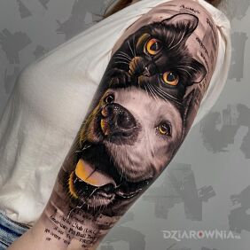 Tatuaż Kot i pies na ręce motyw: 3D styl: realistyczne