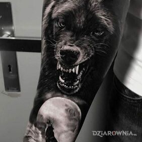 Tatuaż Czarny wilczur na przedramieniu motyw: mroczne styl: realistyczne