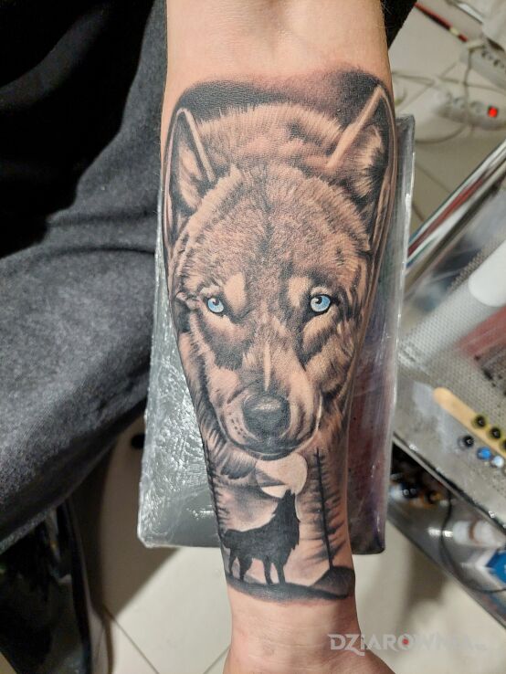 Tatuaż wolf tattoo forearm w motywie zwierzęta na przedramieniu