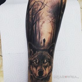 Tatuaż Wilk i las na przedramieniu motyw: zwierzęta styl: realistyczne